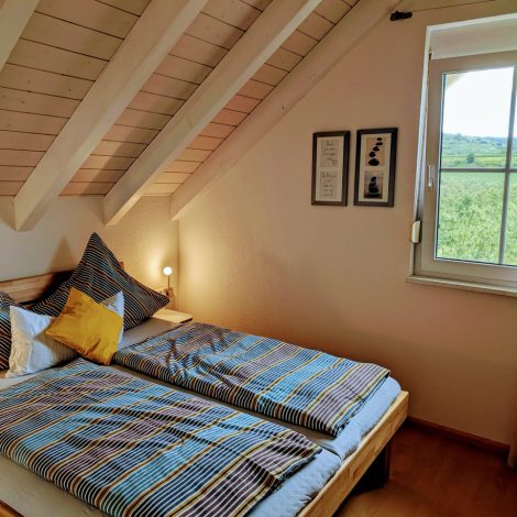 Groß (PXL_20250830_082803587~2)